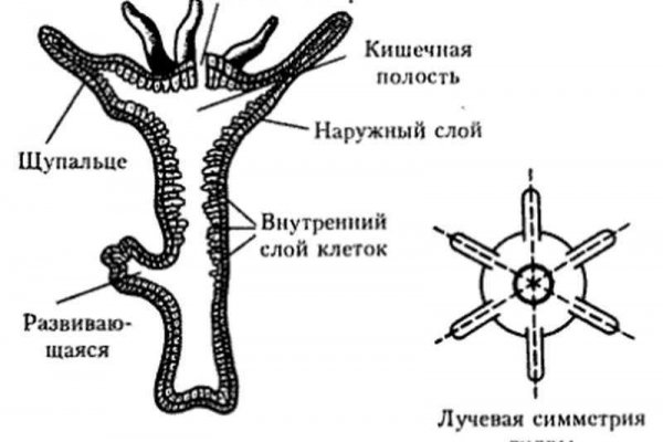 Омг com