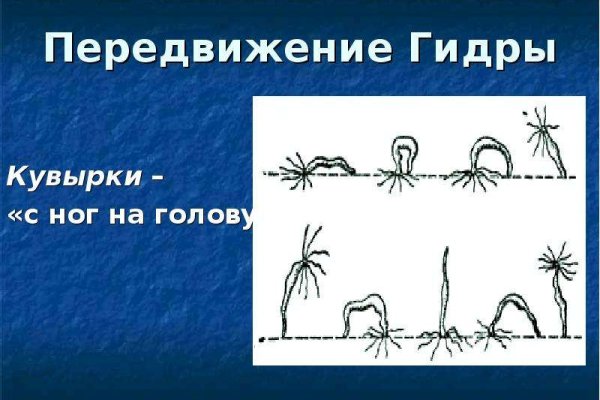 Kraken ссылка рабочая