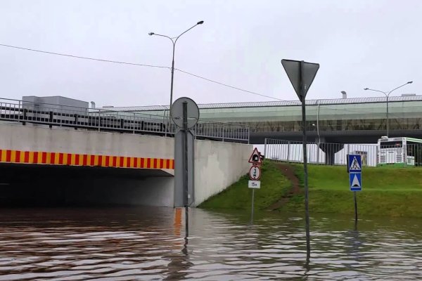 Как выйти на сайт мега