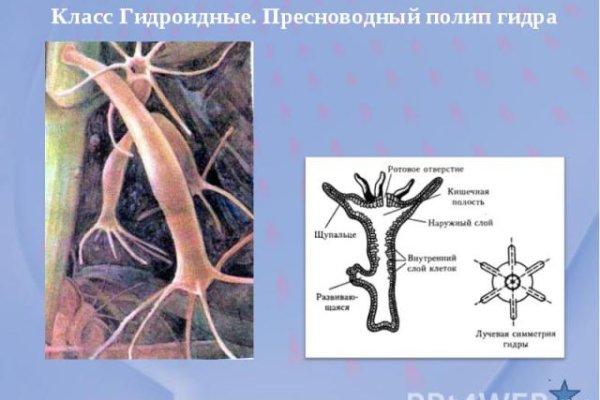 Мега анион официальный сайт