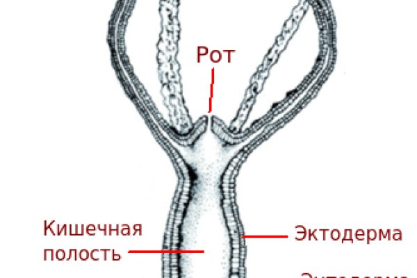 Кракен 1kraken me